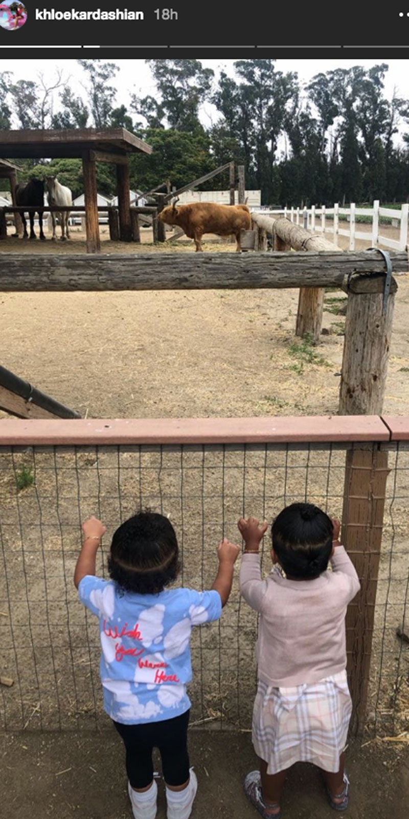 Chickens! Horses! Hugs! Inside True Thompson and Stormi Webster’s Farm-Filled Day Instagram Story