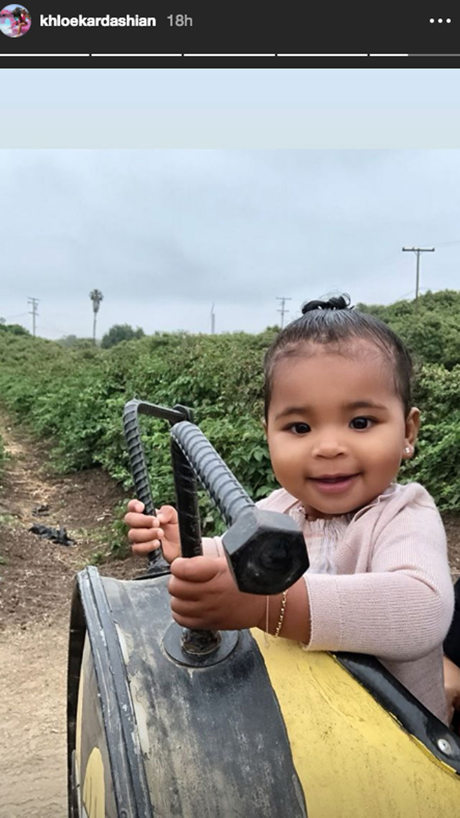 Chickens! Horses! Hugs! Inside True Thompson and Stormi Webster’s Farm-Filled Day Instagram Story