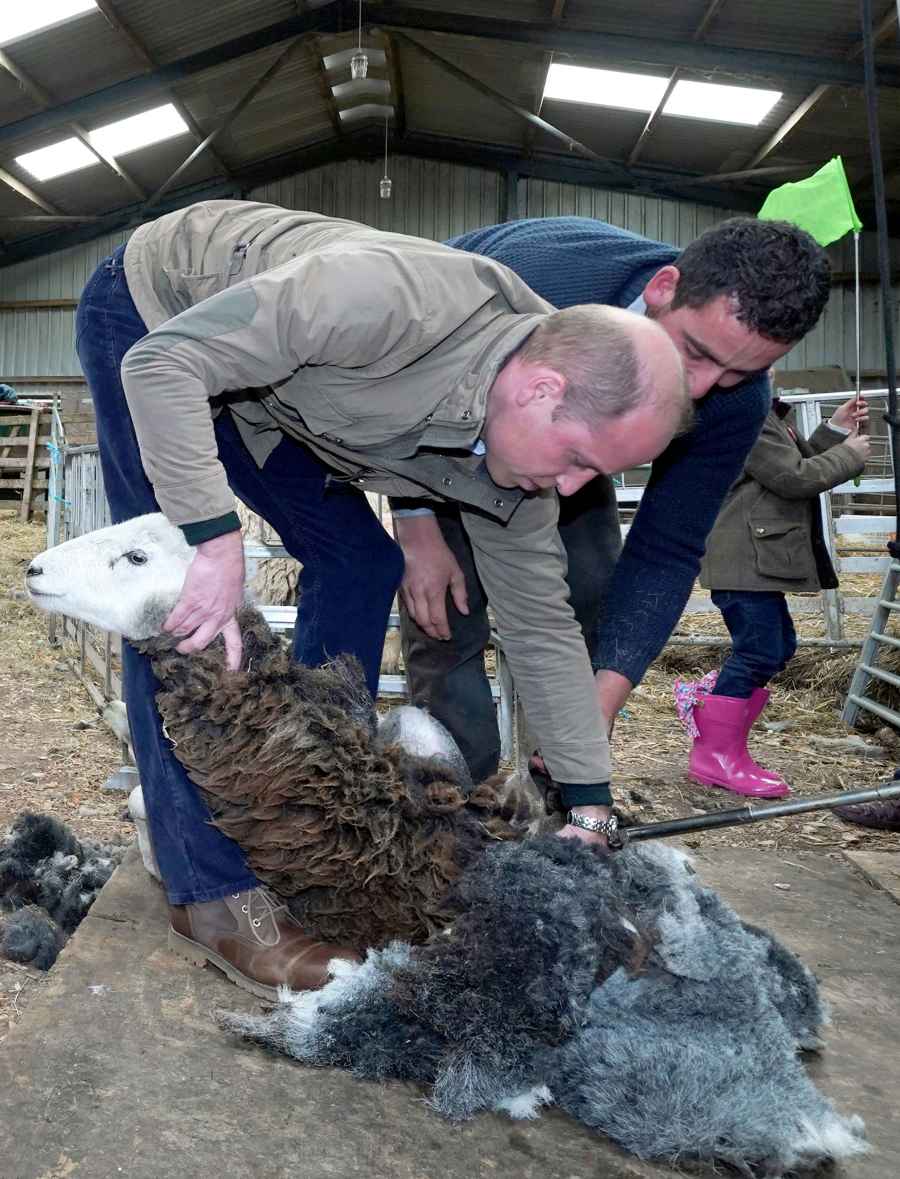Duchess Kate Beams as She and Prince William Shear Sheep Like Pros