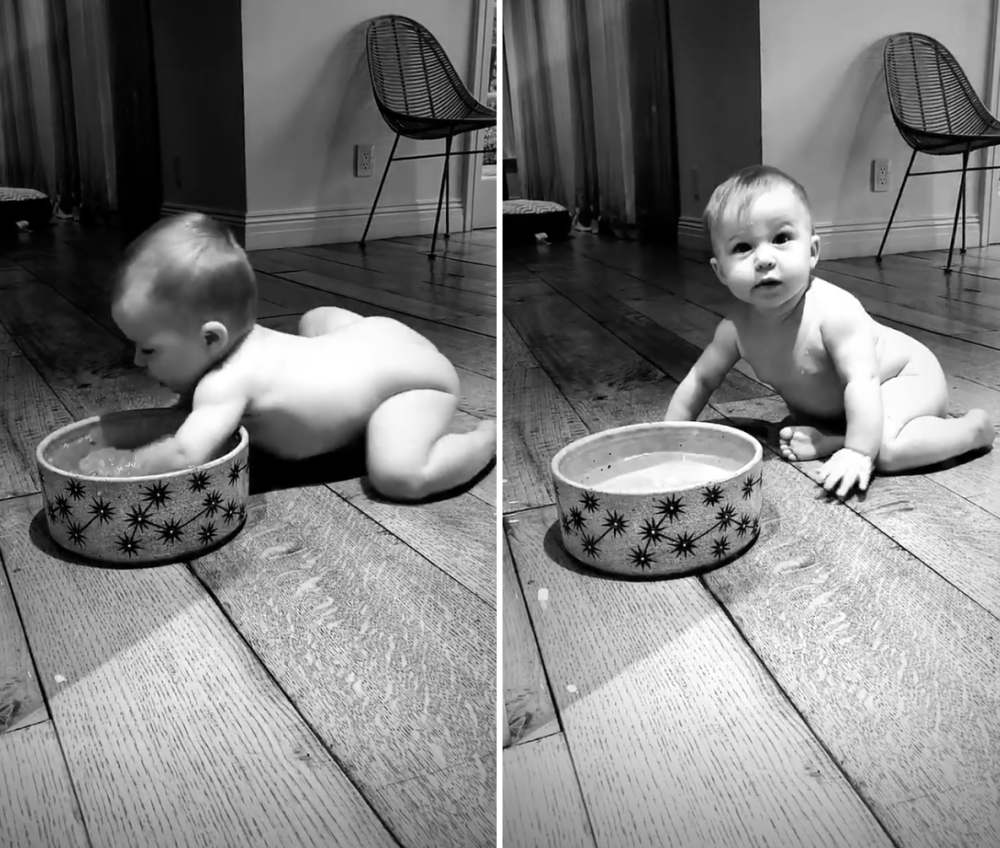 Hilary-Duff’s-Daughter-Banks-Playing-in-Dog’s-Water-Bowl