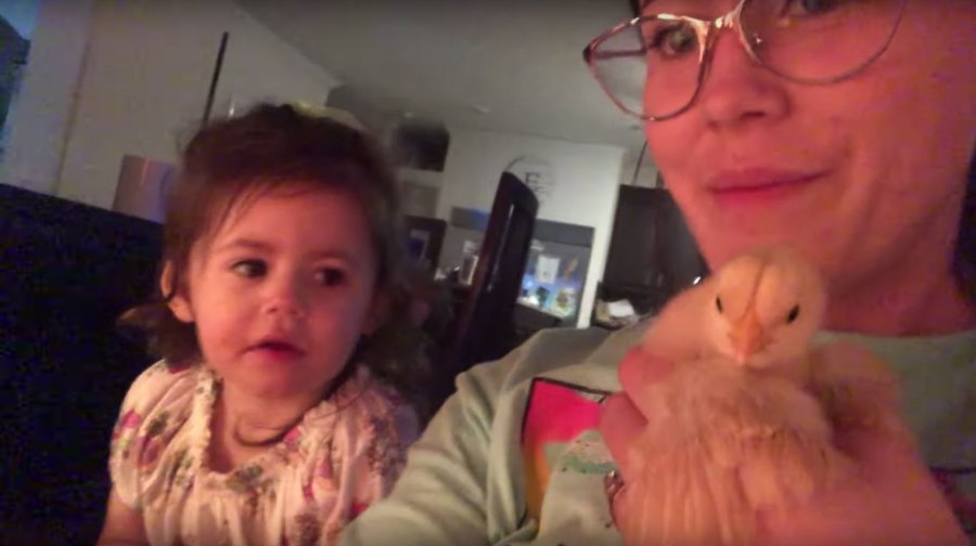 Jenelle Evans Posts Video of David Eason, Kids on Her Farm With Dog Nugget Amid Custody Battle