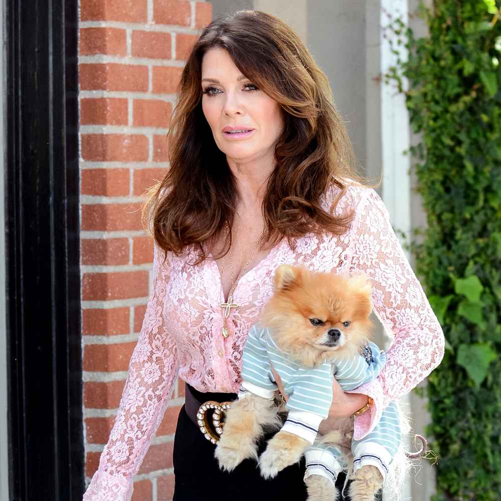 Lisa Vanderpump on Real Housewives of Beverly Hills Season 9: 'I Was Tearful Most Days Filming'