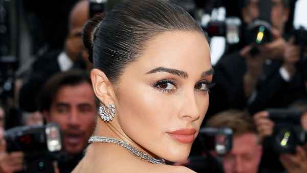 Olivia Culpo Eyebrows