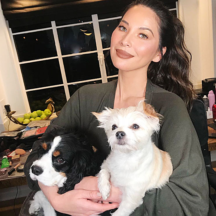 Olivia Munn Helping Couple Whose Dog Was Dognapped
