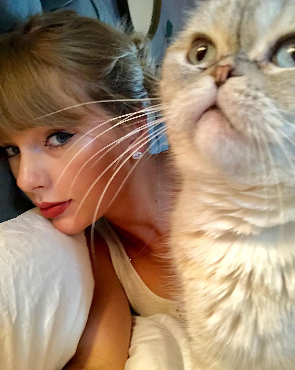 Taylor Swift Cat Bomb Celebrity Selfies