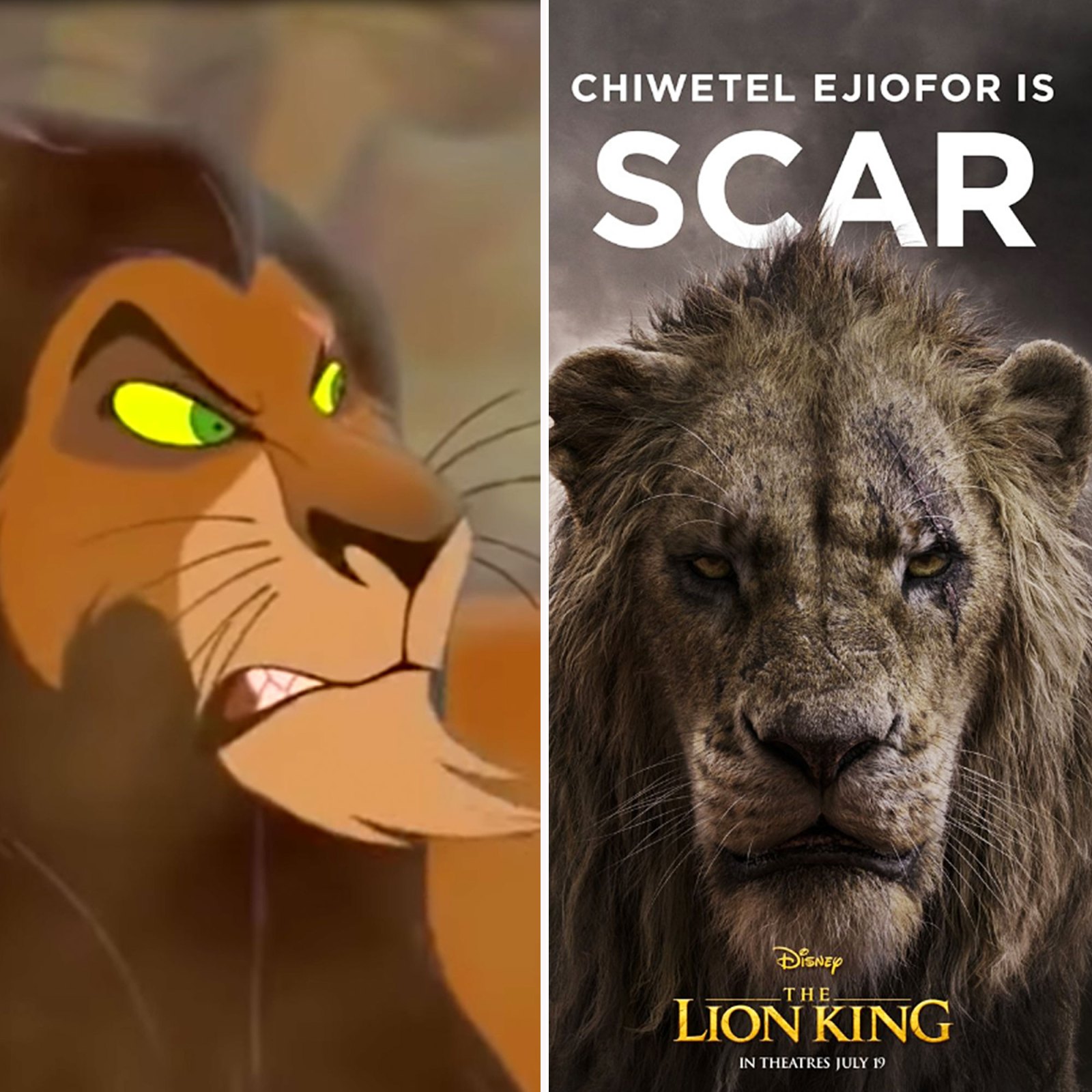 The Lion King Turns 25 Comparing the Animated and Live-Action Characters