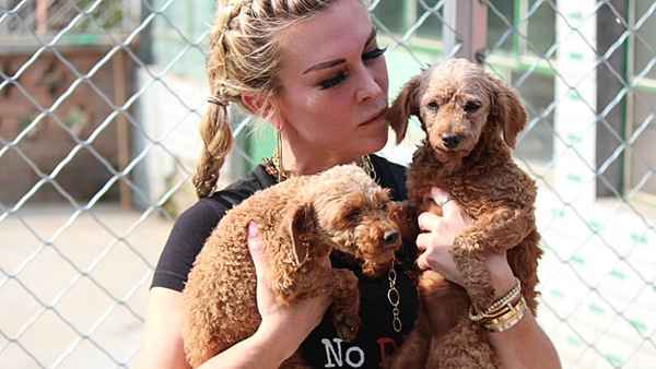 Tinsley Mortimer Dog Rescue