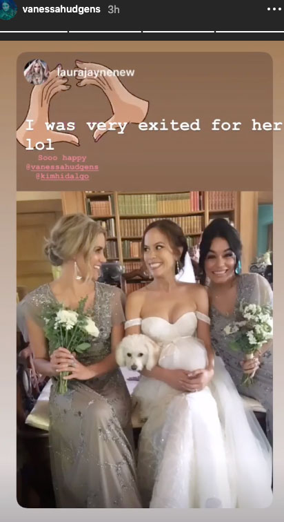 Vanessa Hudgens, Ashley Tisdale Were Bridesmaids in Brant Daugherty's Wedding