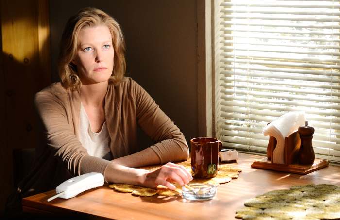 Anna Gunn Extreme Sexism Experience During Breaking Bad