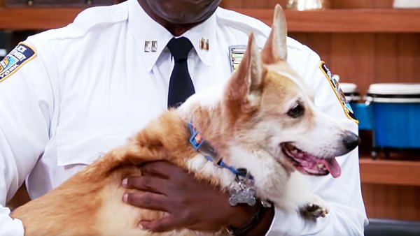 Brooklyn Nine-Nine's Beloved Cheddar the Dog Dies