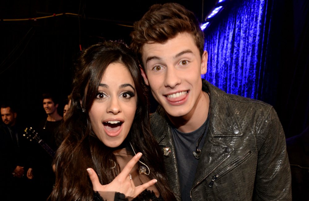 Camila Cabello Fangirls at Shawn Mendes Concert Amid Dating Rumor