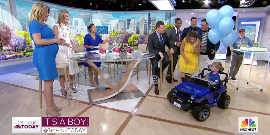 Dylan Dreyer Gender Reveal on TODAY