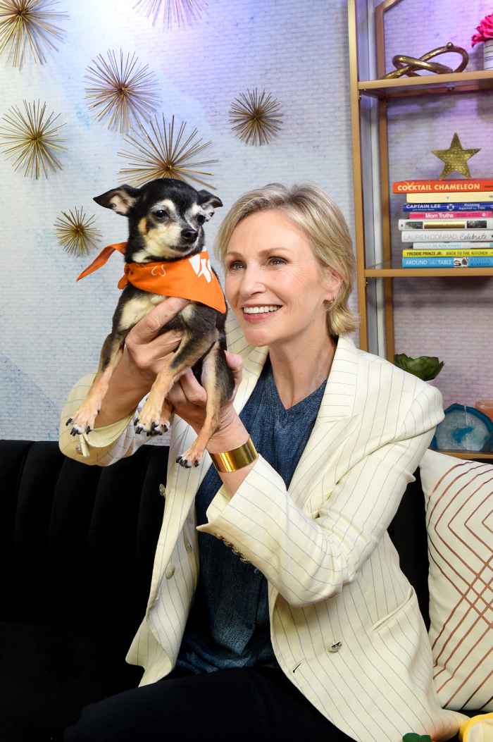 Jane Lynch is Just Like Us Lets Dogs Sleep In Bed