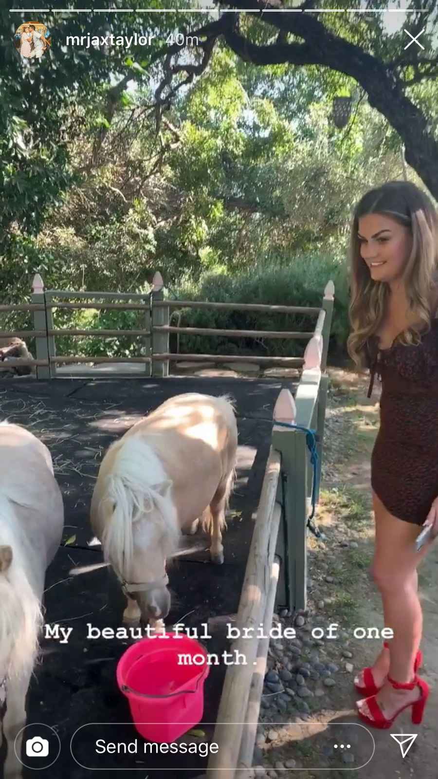 Jax Taylor Little Horses Red Heels Vanderpump Rules Stassi Schroeder and Beau Clark on Their Engagement