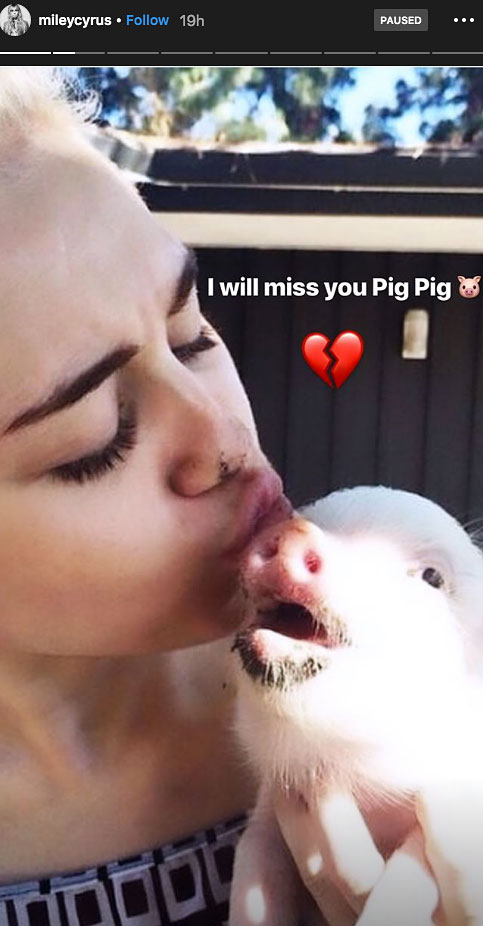 Miley Cyrus and Pig Pig
