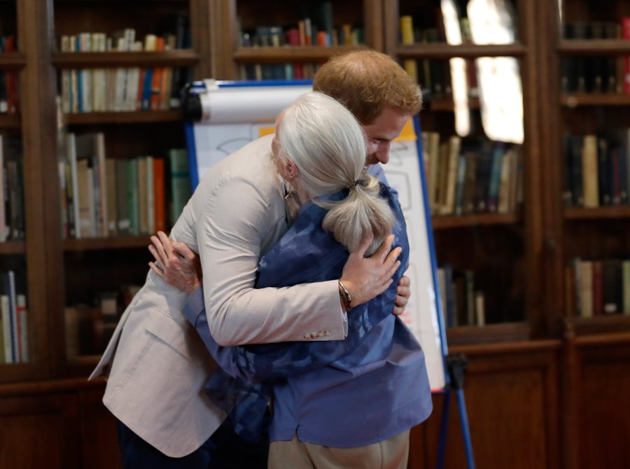 Prince Harry Shares Sweet Dance With Jane Goodall