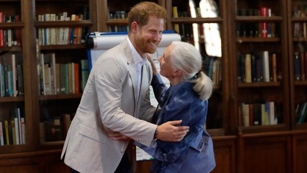 Prince Harry Shares Sweet Dance With Jane Goodall