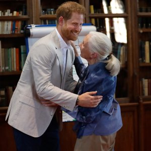 Prince Harry Shares Sweet Dance With Jane Goodall