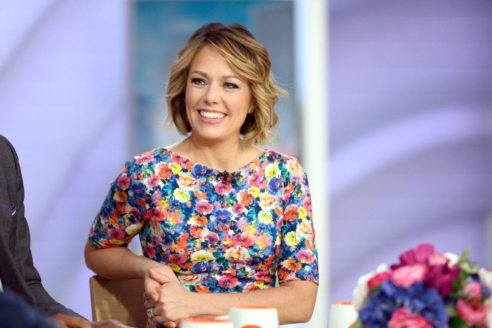 Rainbow Baby! Dylan Dreyer Is Pregnant With Baby No. 2 After Miscarriage