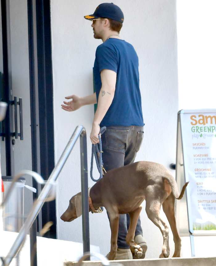Ryan-Gosling-Eva-Mendes-adopt-new-dog