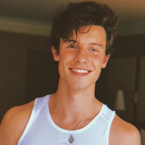 Shawn Mendes Butterfly Tattoo Instagram