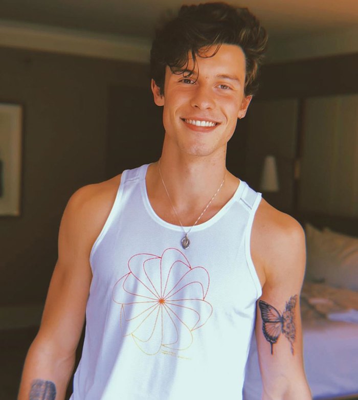 Shawn Mendes Butterfly Tattoo Instagram