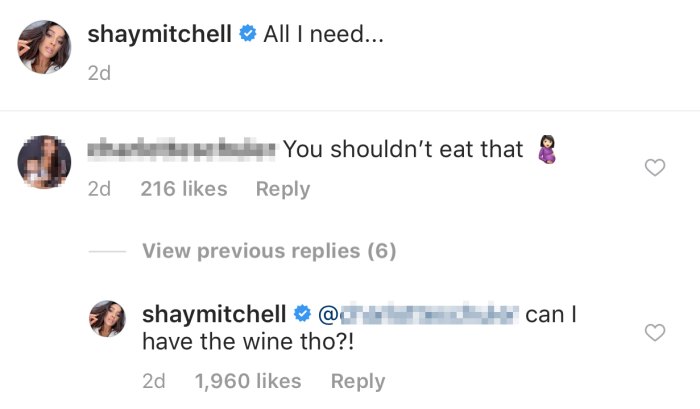 Shay-Mitchell-Instagram-pregnancy-comment