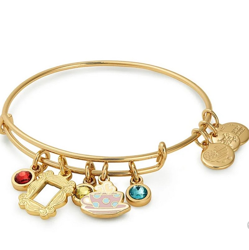 Alex and Ani Friends Collection - Charms