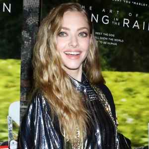 Amanda Seyfried Shares Rare Pic Holding Hands With 2-Year-Old Daughter