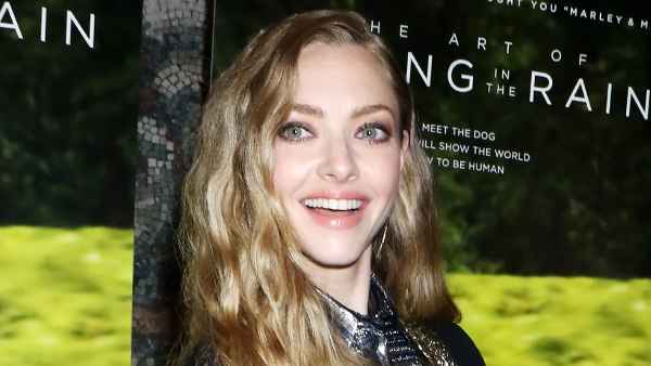 Amanda Seyfried Shares Rare Pic Holding Hands With 2-Year-Old Daughter