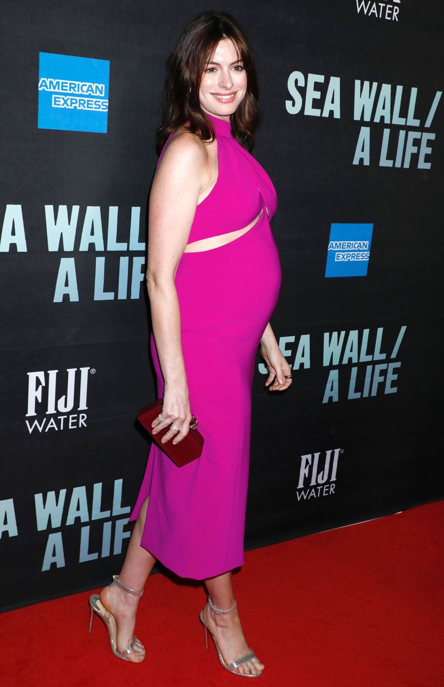 Anne Hathaway Red Carpet Announcing 2nd Pregnancy
