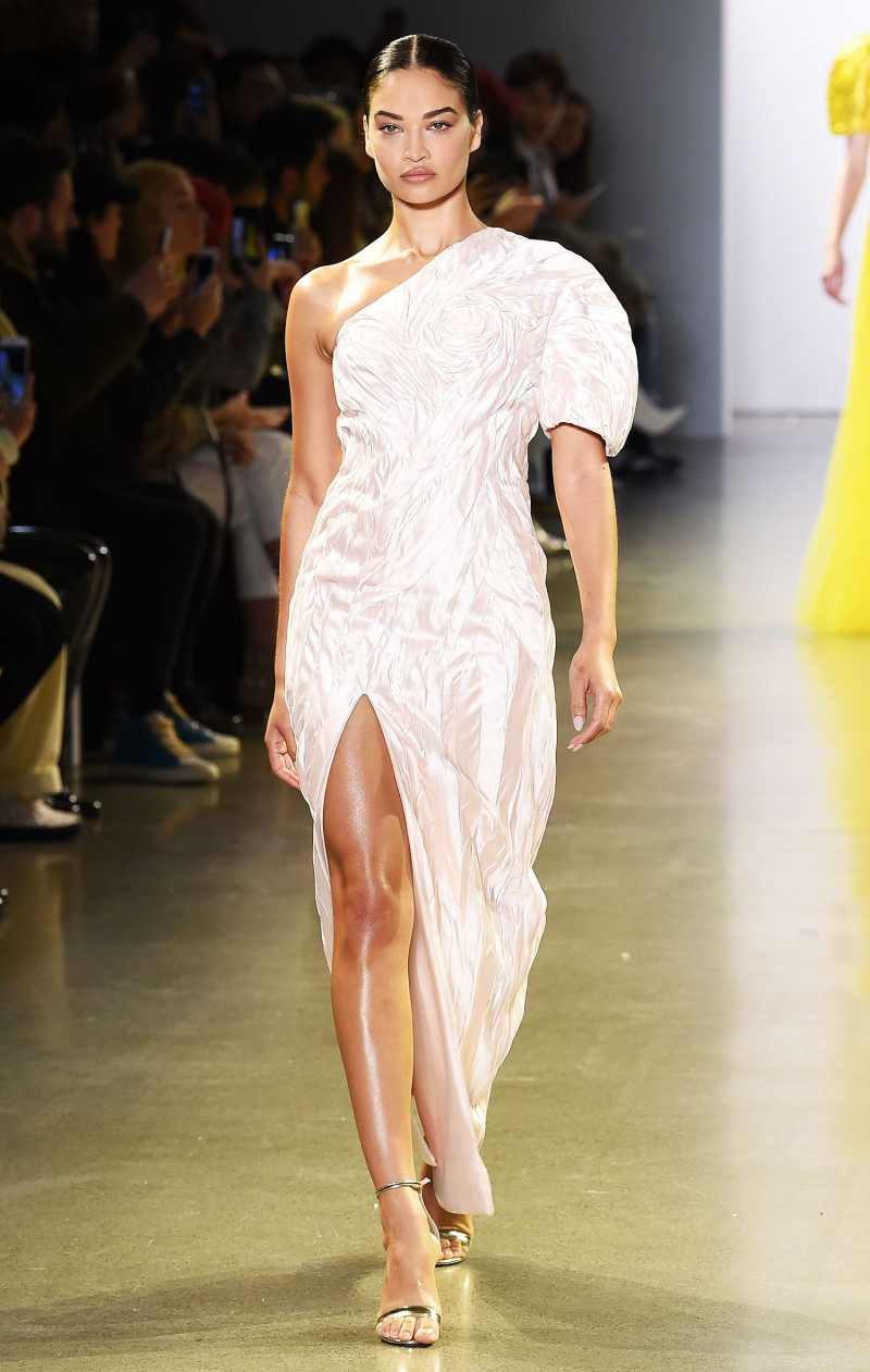 Shanina Shaik Wears Cong Tri Februaray 11, 2019