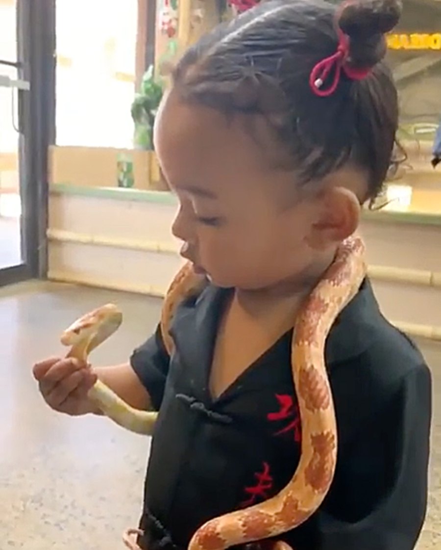 Chicago West Holds Snake