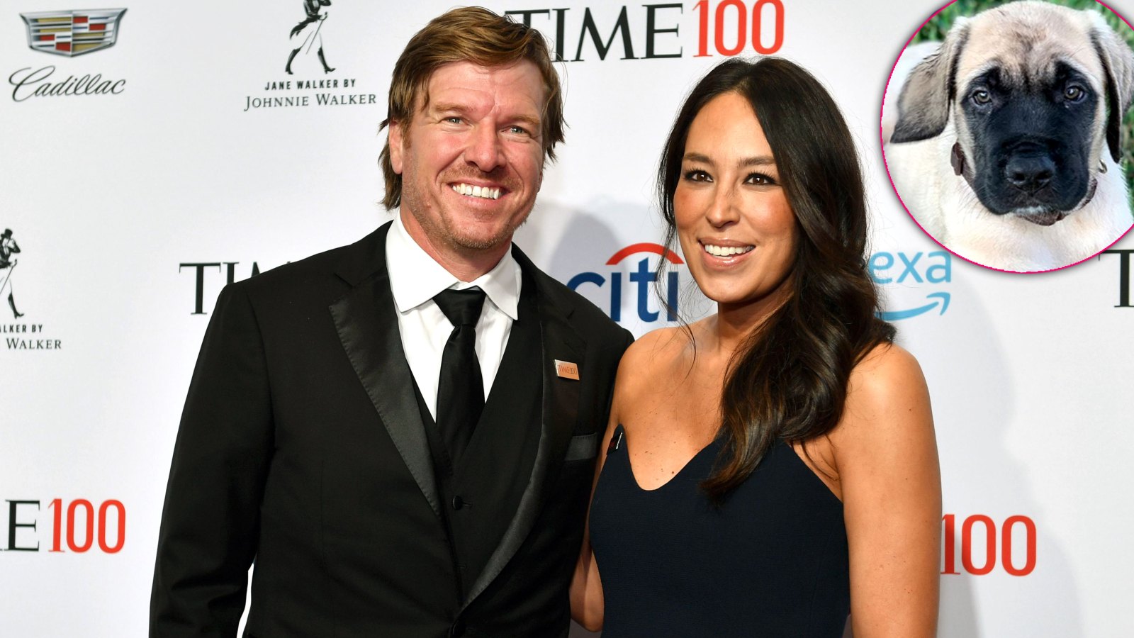 Chip Gaines Surprises Wife Joanna With an English Mastiff Puppy