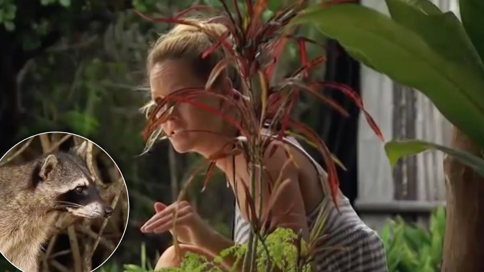 9 Messiest Moments in 'Bachelor in Paradise' History | Us Weekly
