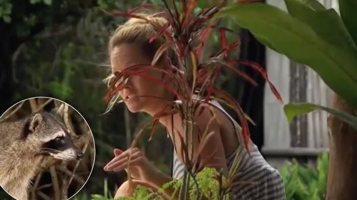 Bachelor in Paradise Messiest Moments Clare Raccoon Meltdown