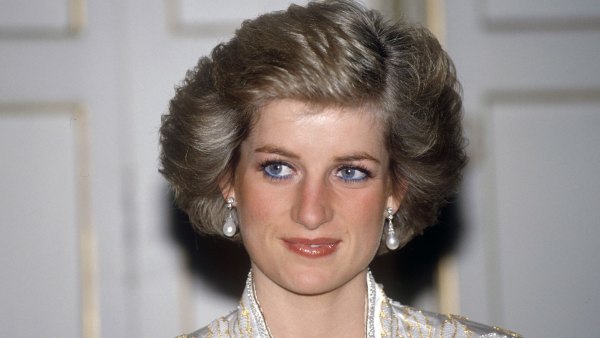 Diana: Case Solved: The Definitive Account and Evidence That Proves What Really Happened