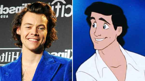 Harry Styles Turns Down Little Mermaid Role as Prince Eric