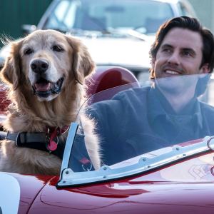How Milo Ventimiglia Relates to Romantic Art of Racing Character