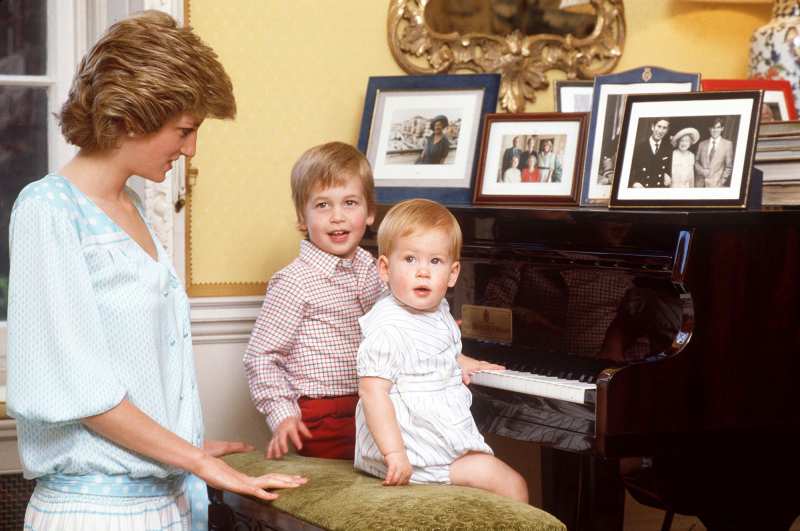 Younger Royals Honored Princess Diana Diana Princess of Wales, Prince William Duke of Cambridge, Prince Harry of Wales