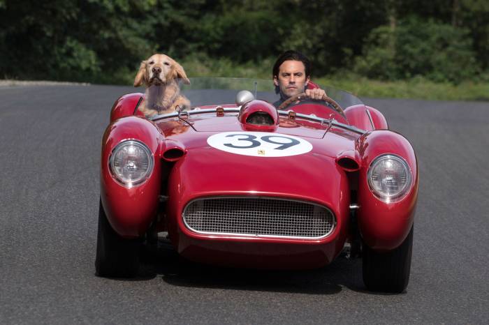 Milo Ventimiglia and Enzo The Art of Racing in The Rain