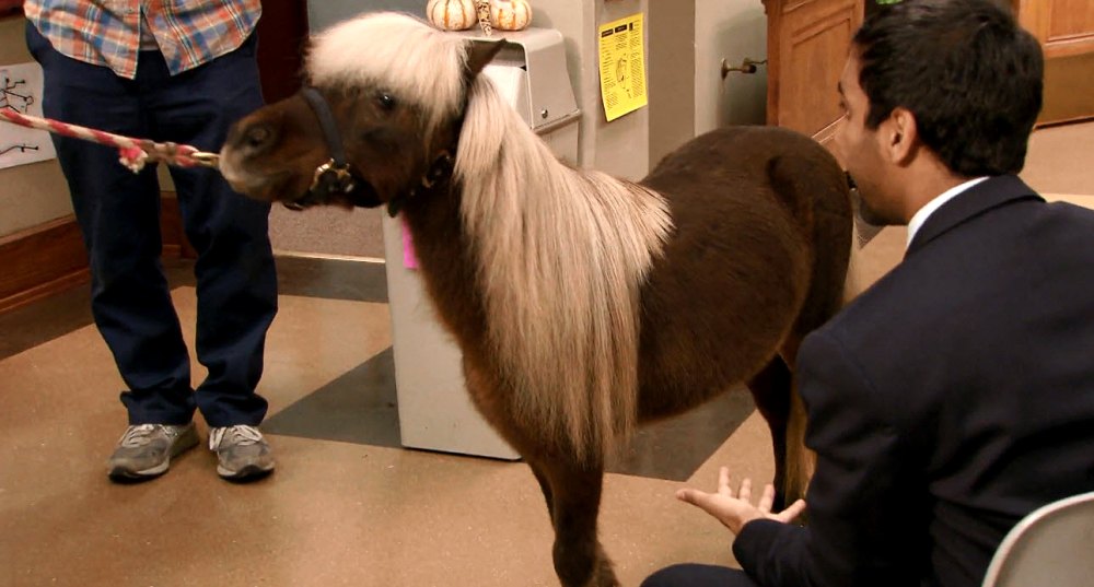 Parks and Rec Themed Bar to Open in Chicago