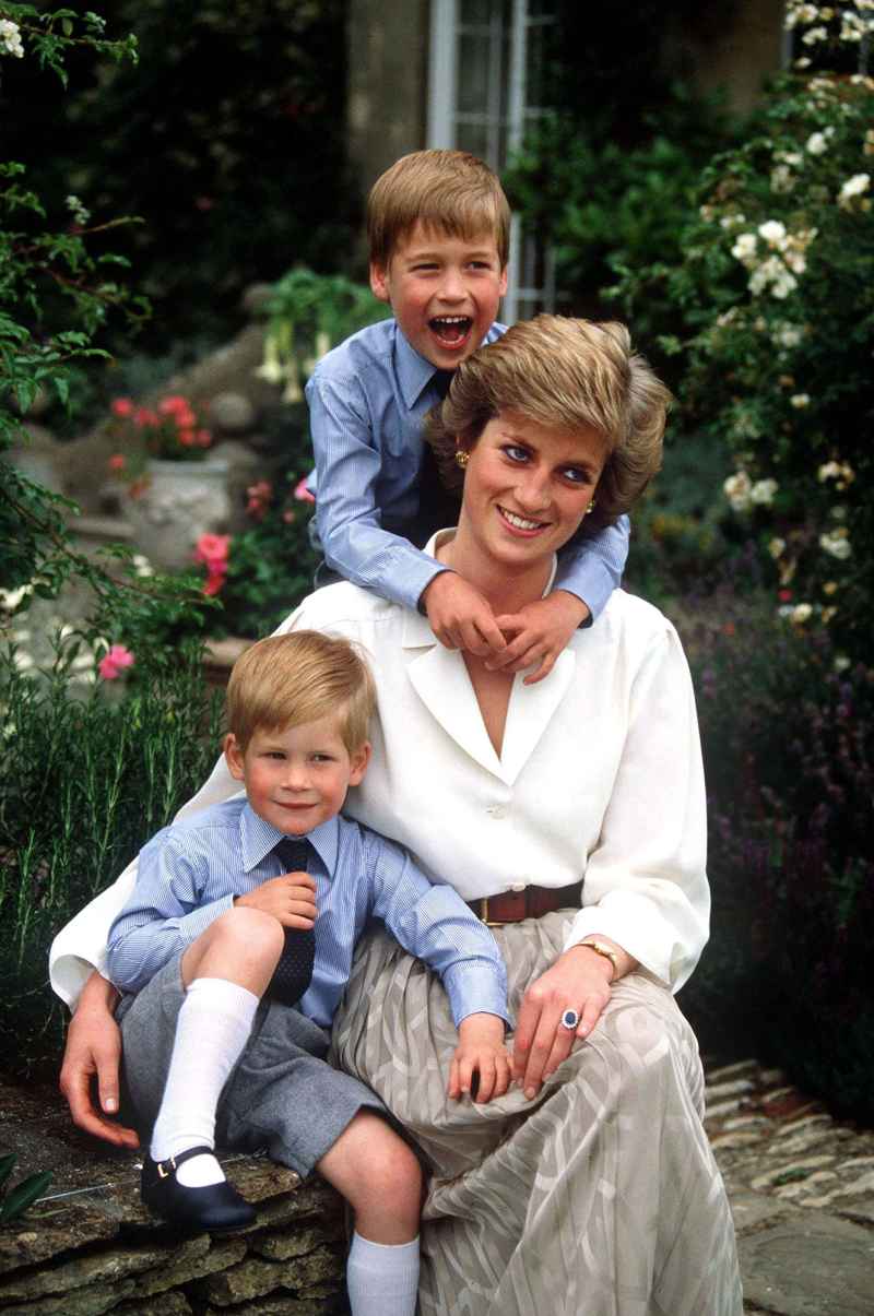 Younger Royals Honored Princess Diana Prince Harry of Wales, Prince William Duke of Cambridge, Diana Princess of Wales