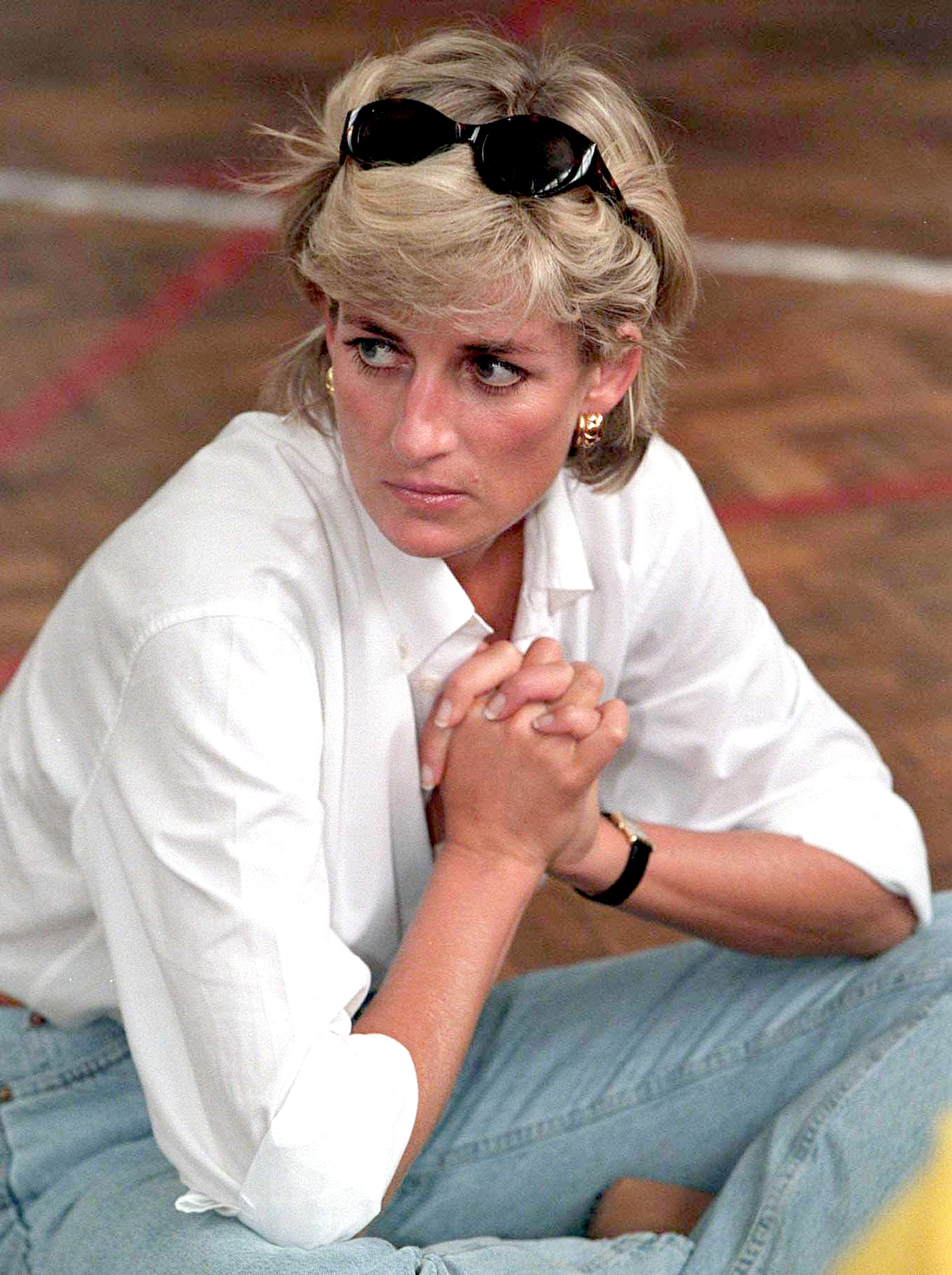 ‘Fatal Voyage: Diana Case Solved’ Reveals the Truth Behind Princess ...