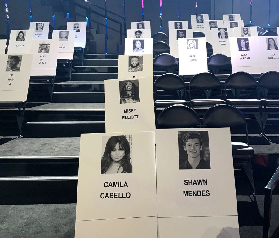 Camila Cabello and Shawn Mendes Seating Cards 2019 MTV VMAs Seating