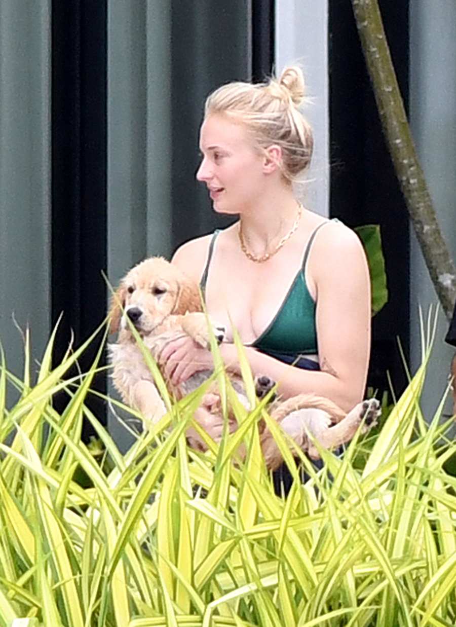 Sophie Turner Cradles New Puppy Weeks After Death of Her and Husband Joe Jonas' Dog