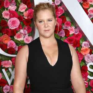 Amy Schumer Claps Back at Troll About Son