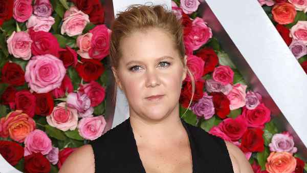Amy Schumer Claps Back at Troll About Son