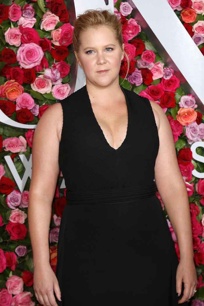 Amy Schumer Claps Back at Troll About Son