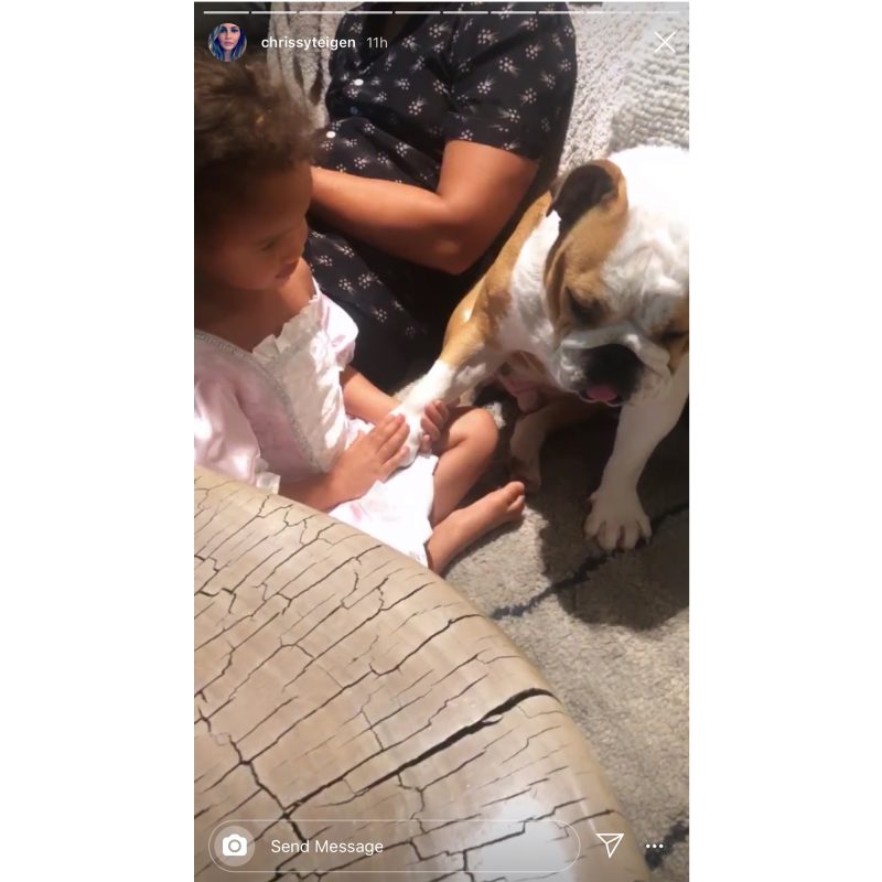 Luna Legend Holds Hands With Dog